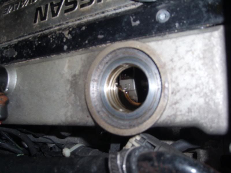SL270038.jpg