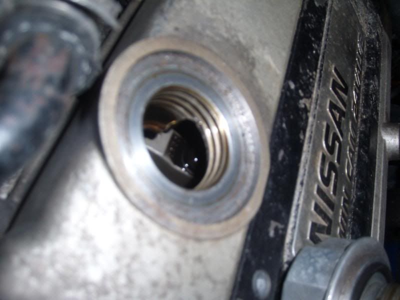 SL270041.jpg