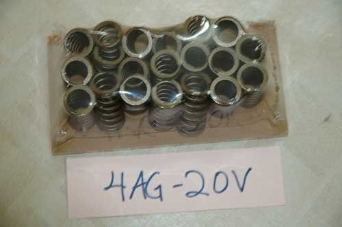 springs2.jpg