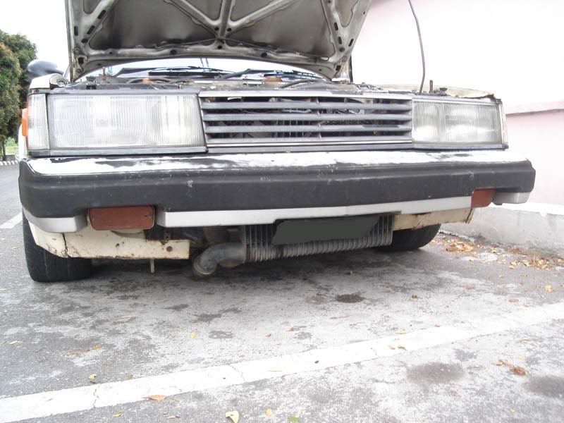supra1.jpg