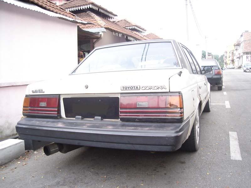 supra2.jpg