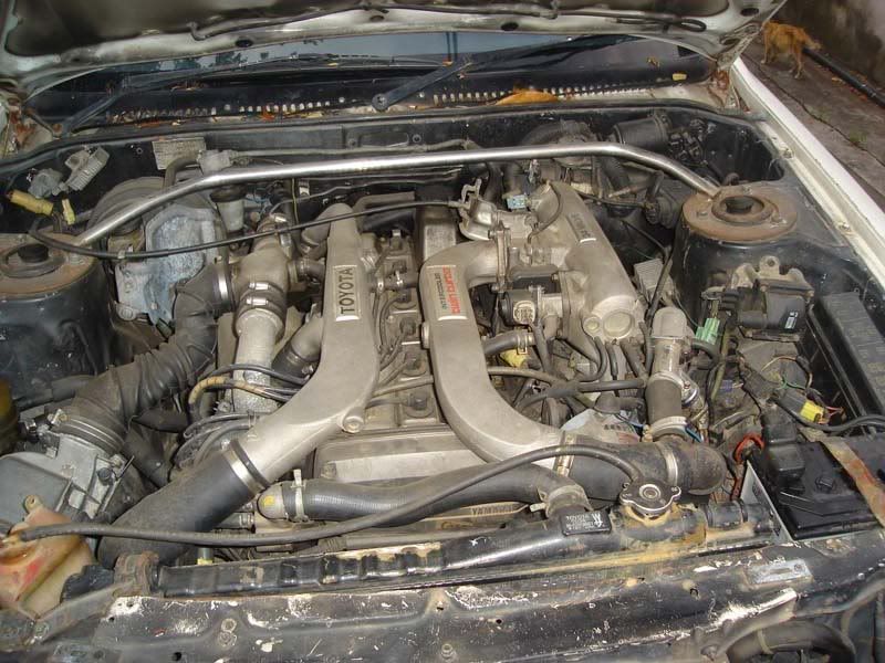 supra8.jpg