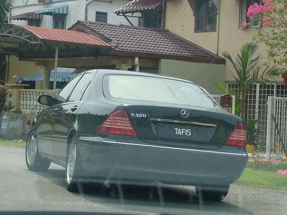 TAF15.jpg
