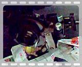 th_15082007021.jpg