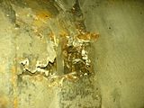 th_DSC01878.jpg