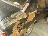 th_DSC01945.jpg