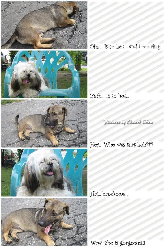 TheHotDay4.jpg