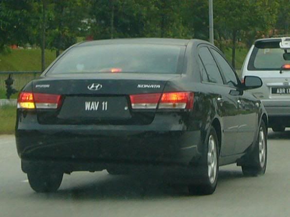 WAV11.jpg