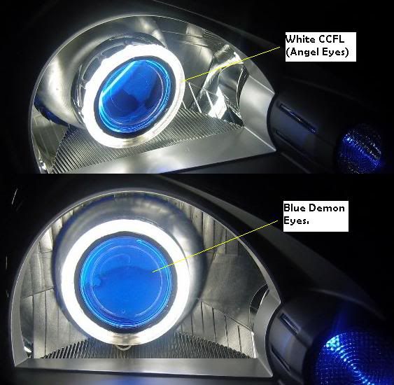 whiteblue.jpg
