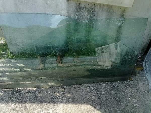 window.jpg