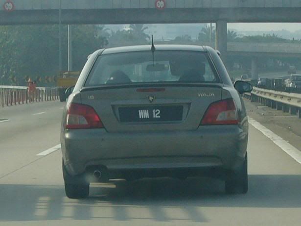 WM12.jpg
