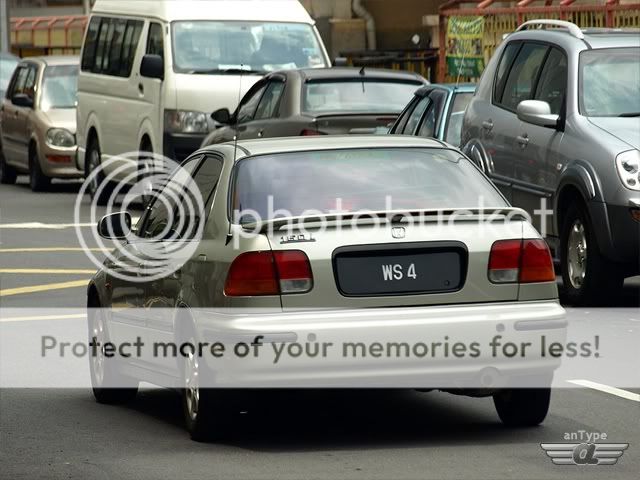 WS4.jpg