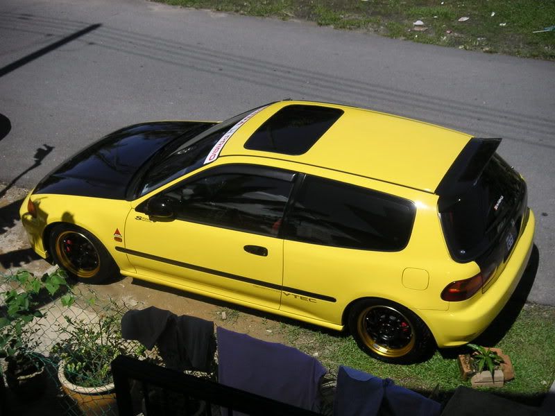 yellow.jpg