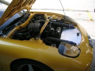 yellow7.jpg