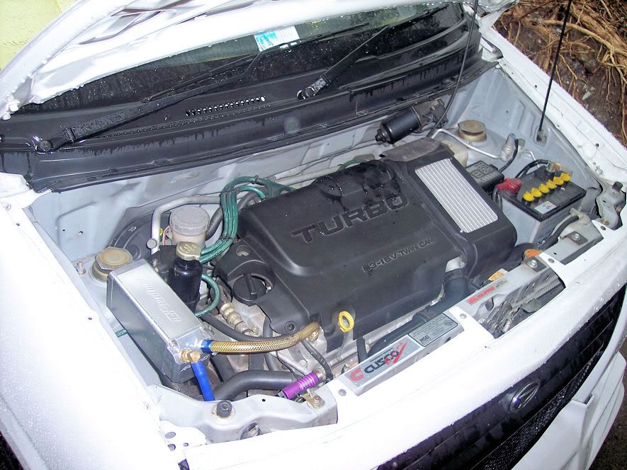 YRV5.jpg